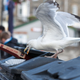 Photo: Matt Cardy/Getty Images